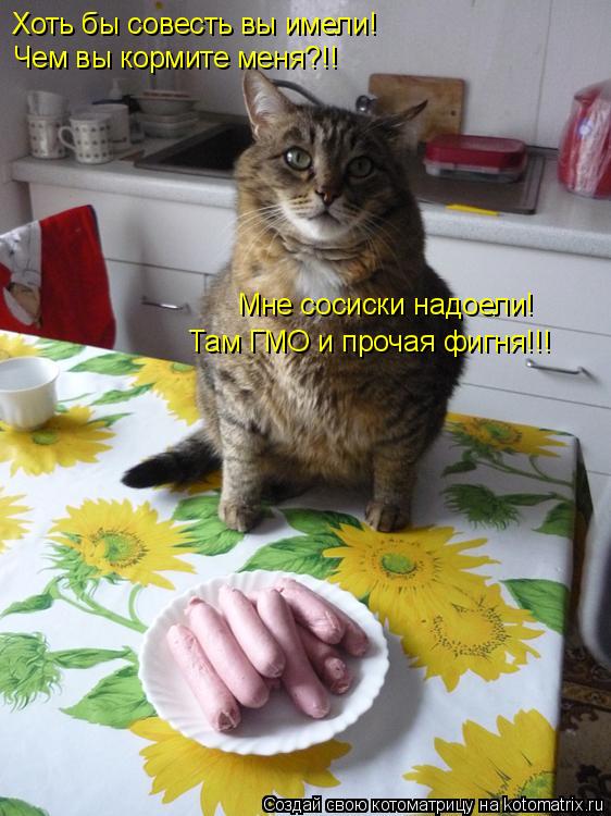 Хоть бы совесть вы имели! Чем вы кормите меня?!! Мне сосиски надоели! Там ГМО и прочая фигня!!!... Котоматрица: Хоть бы совесть вы имели! Чем вы кормите меня?!! Мне сосиски надоели! Там ГМО и прочая фигня!!!