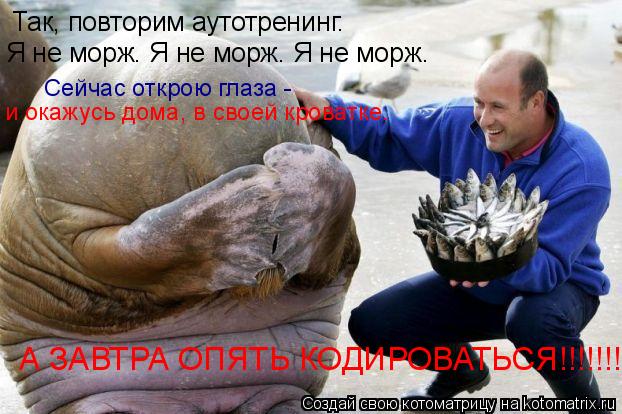 Так, повторим аутотренинг. Я не морж. Я не морж. Я не морж. и окажусь дома, в своей кроватке. А ЗАВТР... Котоматрица: Так, повторим аутотренинг. Я не морж. Я не морж. Я не морж. и окажусь дома, в своей кроватке. А ЗАВТРА ОПЯТЬ КОДИРОВАТЬСЯ!!!!!!!!!! Сейчас открою гл