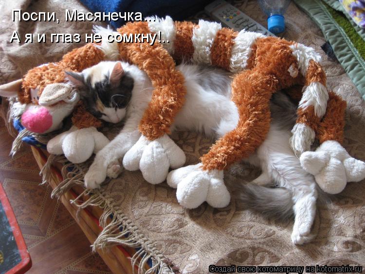 Поспи, Масянечка... Поспи, Масянечка... А я и глаз не сомкну!.. А я и глаз не сомкну!..... Котоматрица: Поспи, Масянечка... Поспи, Масянечка... А я и глаз не сомкну!.. А я и глаз не сомкну!..