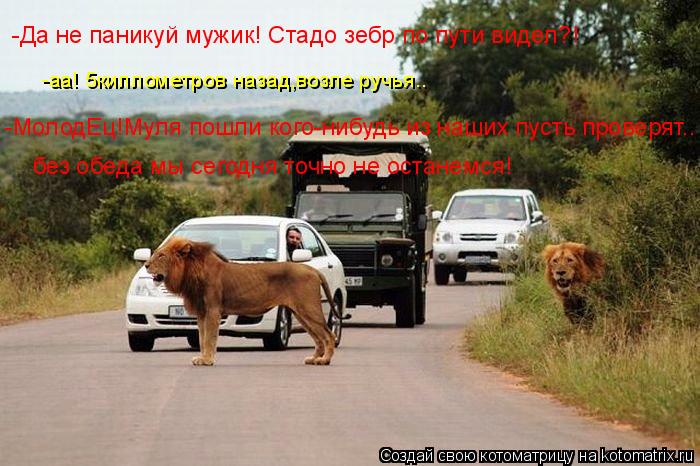 -аа! 5киллометров назад,возле ручья.. -Да не паникуй мужик! Стадо зебр по пути видел?! -МолодЕц!Мул... Котоматрица: -аа! 5киллометров назад,возле ручья.. -Да не паникуй мужик! Стадо зебр по пути видел?! -МолодЕц!Муля пошли кого-нибудь из наших пусть проверят.