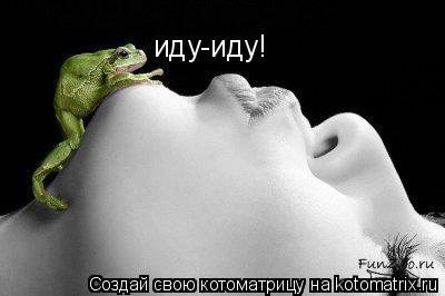 иду-иду!... Котоматрица: иду-иду!