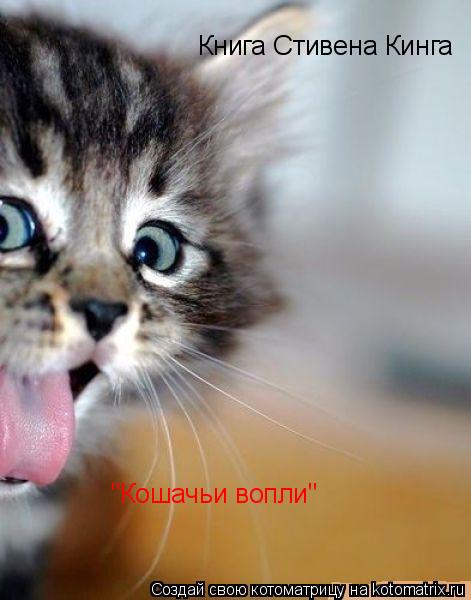 Книга Стивена Кинга "Кошачьи вопли"... Котоматрица: Книга Стивена Кинга "Кошачьи вопли"