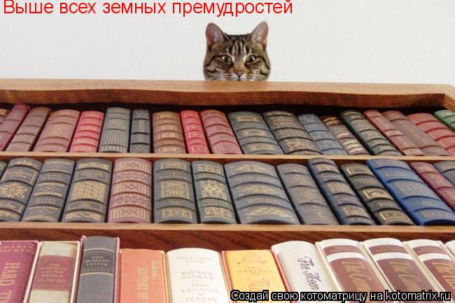 Выше всех земных премудростей... Котоматрица: Выше всех земных премудростей