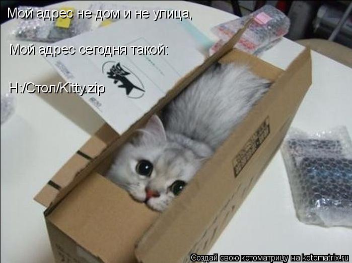 H:/Стол/Kitty.zip Мой адрес не дом и не улица, Мой адрес сегодня такой:... Котоматрица: H:/Стол/Kitty.zip Мой адрес не дом и не улица, Мой адрес сегодня такой: