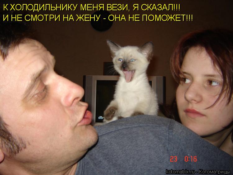 К ХОЛОДИЛЬНИКУ МЕНЯ ВЕЗИ, Я СКАЗАЛ!!! И НЕ СМОТРИ НА ЖЕНУ - ОНА НЕ ПОМОЖЕТ!!!... Котоматрица: К ХОЛОДИЛЬНИКУ МЕНЯ ВЕЗИ, Я СКАЗАЛ!!! И НЕ СМОТРИ НА ЖЕНУ - ОНА НЕ ПОМОЖЕТ!!!