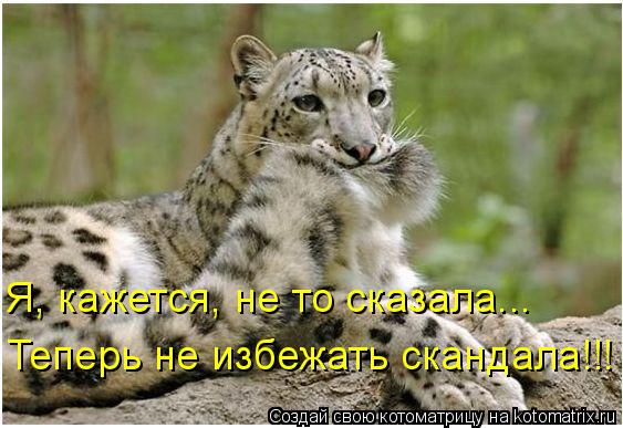 Я, кажется, не то сказала... Теперь не избежать скандала!!!... Котоматрица: Я, кажется, не то сказала... Теперь не избежать скандала!!!