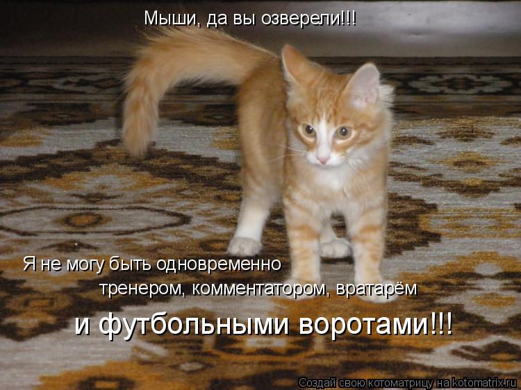Мыши, да вы озверели!!! Я не могу быть одновременно тренером, комментатором, вратарём и футбольными в... Котоматрица: Мыши, да вы озверели!!! Я не могу быть одновременно тренером, комментатором, вратарём и футбольными воротами!!!