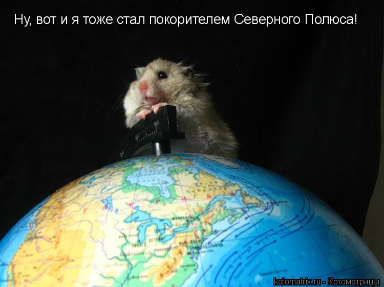 Ну, вот и я тоже стал покорителем Северного Полюса!... Котоматрица: Ну, вот и я тоже стал покорителем Северного Полюса!