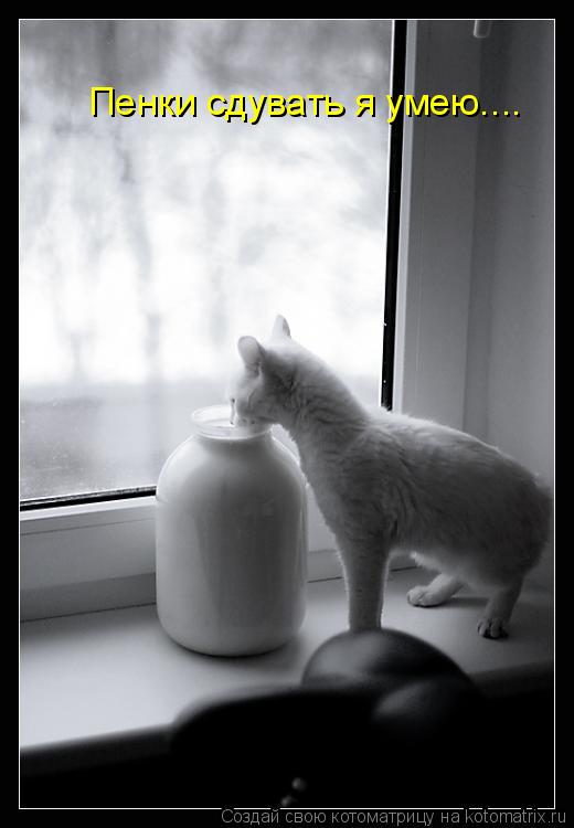 Пенки сдувать я умею....... Котоматрица: Пенки сдувать я умею....