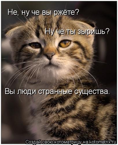 Не, ну че вы ржёте? Ну че ты зыришь? Вы люди странные существа.... Котоматрица: Не, ну че вы ржёте? Ну че ты зыришь? Вы люди странные существа.