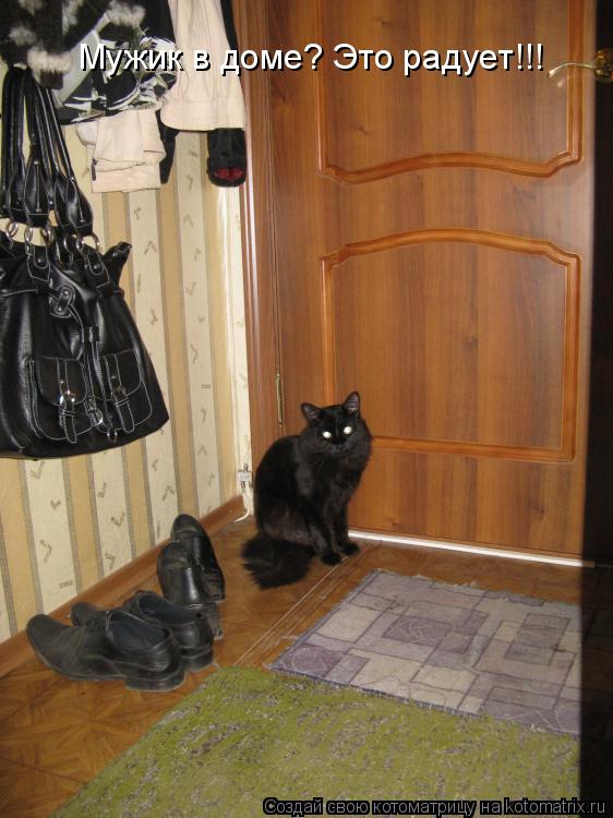 Мужик в доме? Это радует!!!... Котоматрица: Мужик в доме? Это радует!!!