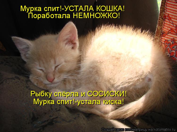 Мурка спит!-УСТАЛА КОШКА! Поработала НЕМНОЖКО! Рыбку спёрла и СОСИСКИ! Мурка спит!-устала киска!... Котоматрица: Мурка спит!-УСТАЛА КОШКА! Поработала НЕМНОЖКО! Рыбку спёрла и СОСИСКИ! Мурка спит!-устала киска!