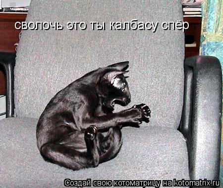 сволочь это ты калбасу спёр... Котоматрица: сволочь это ты калбасу спёр