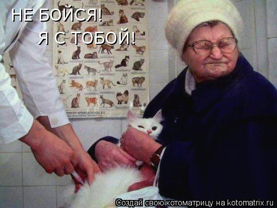 НЕ БОЙСЯ! Я С ТОБОЙ!... Котоматрица: НЕ БОЙСЯ! Я С ТОБОЙ!