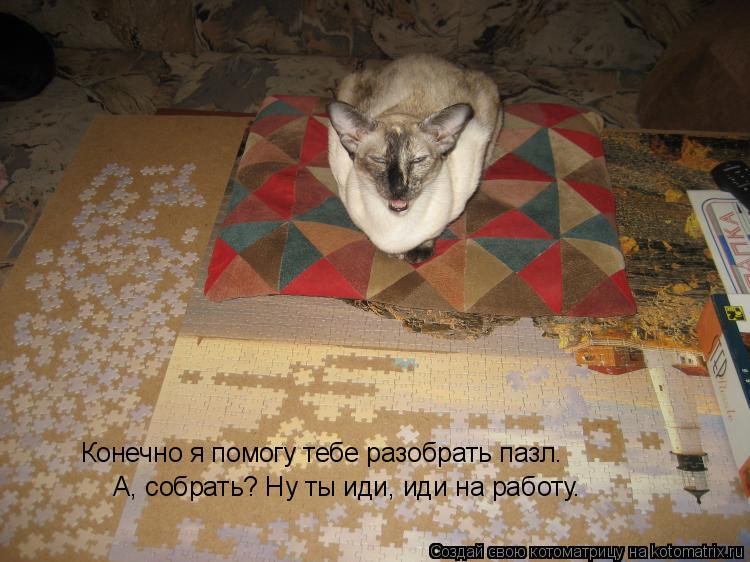 Конечно я помогу тебе разобрать пазл. А, собрать? Ну ты иди, иди на работу.... Котоматрица: Конечно я помогу тебе разобрать пазл. А, собрать? Ну ты иди, иди на работу.
