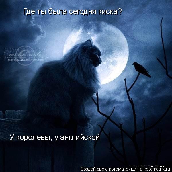 Где ты была сегодня киска? У королевы, у английской... Котоматрица: Где ты была сегодня киска? У королевы, у английской