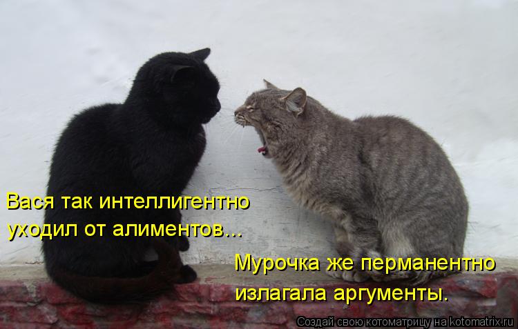 Вася так интеллигентно уходил от алиментов... Мурочка же перманентно излагала аргументы.... Котоматрица: Вася так интеллигентно уходил от алиментов... Мурочка же перманентно излагала аргументы.
