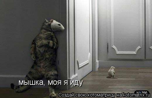 мышка, моя я иду... Котоматрица: мышка, моя я иду