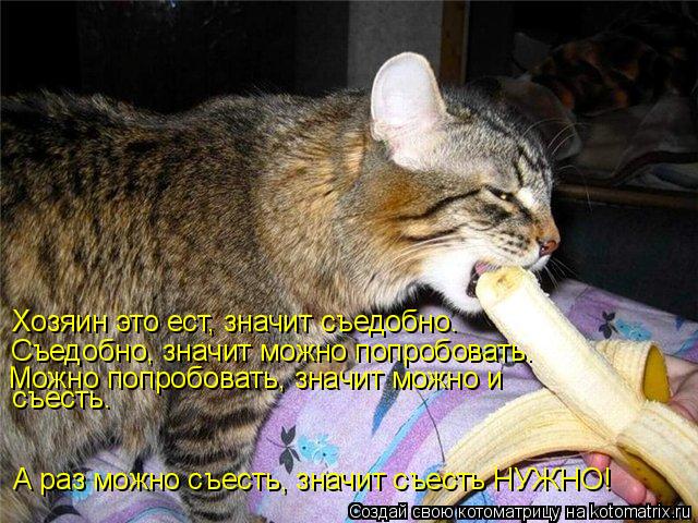 Хозяин это ест, значит съедобно. Съедобно, значит можно попробовать. Можно попробовать, значит можно ... Котоматрица: Хозяин это ест, значит съедобно. Съедобно, значит можно попробовать. Можно попробовать, значит можно и съесть. А раз можно съесть, значит съ