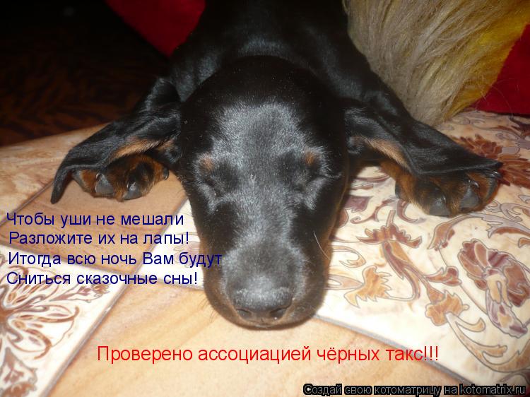 Чтобы уши не мешали Разложите их на лапы! Итогда всю ночь Вам будут Сниться сказочные сны! Проверено... Котоматрица: Чтобы уши не мешали Разложите их на лапы! Итогда всю ночь Вам будут Сниться сказочные сны! Проверено ассоциацией чёрных такс!!!
