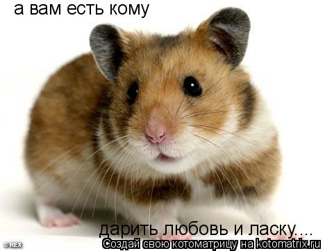а вам есть кому дарить любовь и ласку....... Котоматрица: а вам есть кому дарить любовь и ласку....