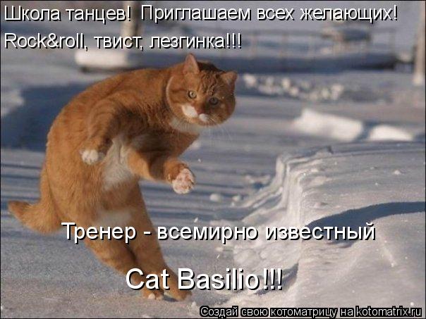 Школа танцев! Rock&roll, твист, лезгинка!!! Приглашаем всех желающих! Тренер - всемирно известный Сat... Котоматрица: Школа танцев! Rock&roll, твист, лезгинка!!! Приглашаем всех желающих! Тренер - всемирно известный Сat Basilio!!!