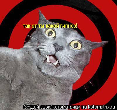 так от ты какой гипноз!... Котоматрица: так от ты какой гипноз!