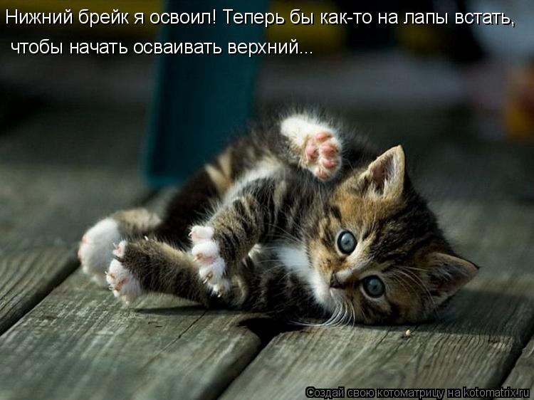 Нижний брейк я освоил! Теперь бы как-то на лапы встать, чтобы начать осваивать верхний...... Котоматрица: Нижний брейк я освоил! Теперь бы как-то на лапы встать, чтобы начать осваивать верхний...