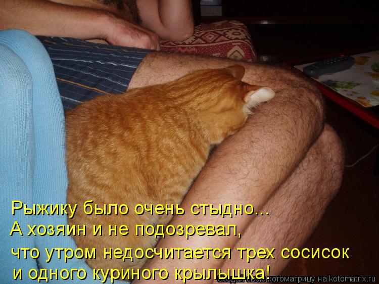 Рыжику было очень стыдно... А хозяин и не подозревал, что утром недосчитается трех сосисок и одного к... Котоматрица: Рыжику было очень стыдно... А хозяин и не подозревал, что утром недосчитается трех сосисок и одного куриного крылышка!