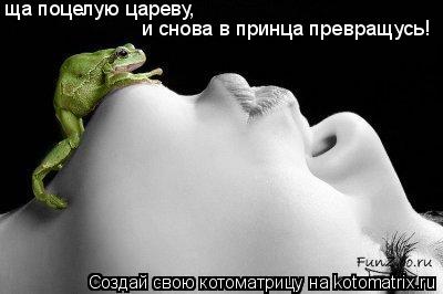 ща поцелую цареву, и снова в принца превращусь!... Котоматрица: ща поцелую цареву, и снова в принца превращусь!