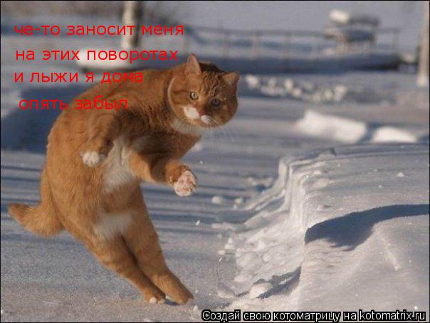 на этих поворотах и лыжи я дома опять забыл че-то заносит меня... Котоматрица: на этих поворотах и лыжи я дома опять забыл че-то заносит меня
