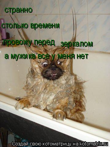 столько времени провожу перед зеркалом странно а мужика все у меня нет... Котоматрица: столько времени провожу перед зеркалом странно а мужика все у меня нет