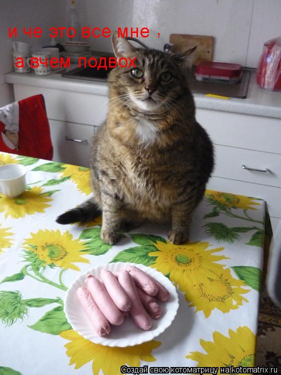 и че это все мне , а вчем подвох... Котоматрица: и че это все мне , а вчем подвох