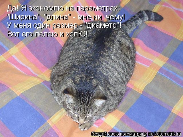 "Ширина", "длина" - мне ни чему! У меня один размер - "диаметр"! Да! Я экономлю на параметрах: Вот е... Котоматрица: "Ширина", "длина" - мне ни чему! У меня один размер - "диаметр"! Да! Я экономлю на параметрах: Вот его лелею и холЮ!