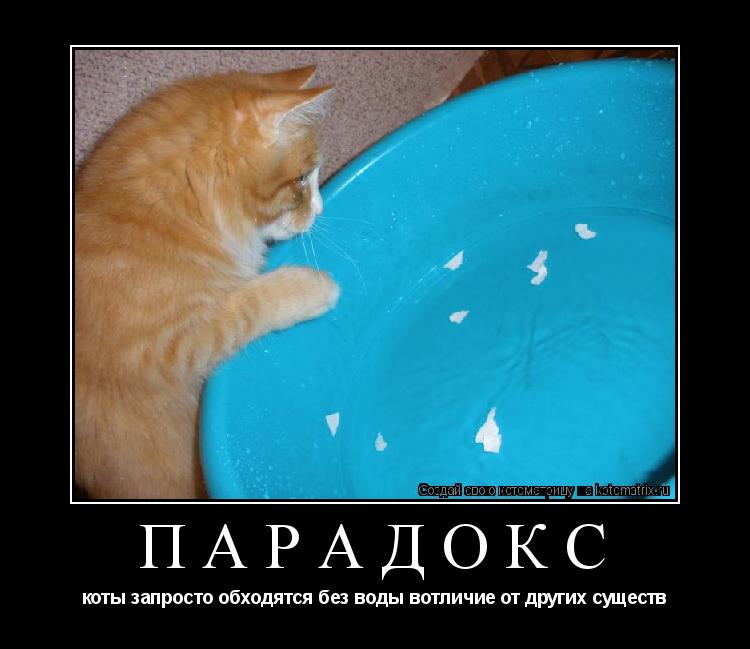 ПАРАДОКС коты запросто обходятся без воды вотличие от других существ... Котоматрица: ПАРАДОКС коты запросто обходятся без воды вотличие от других существ