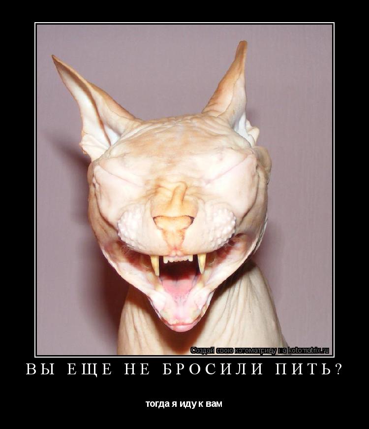 ВЫ ЕЩЁ НЕ БРОСИЛИ ПИТЬ? тогда я иду к вам... Котоматрица: ВЫ ЕЩЁ НЕ БРОСИЛИ ПИТЬ? тогда я иду к вам