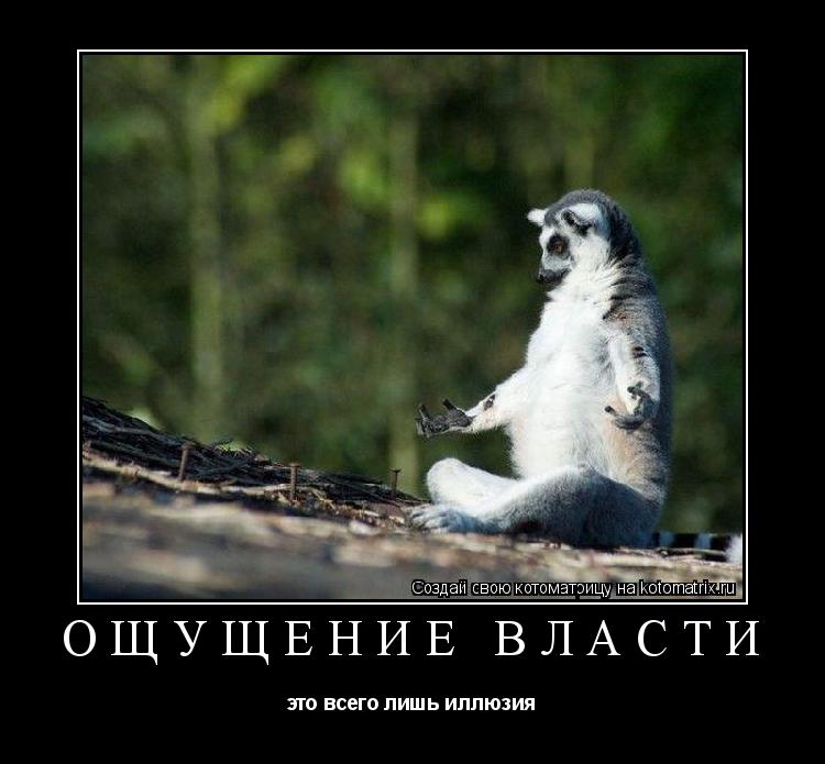 ОЩУЩЕНИЕ ВЛАСТИ это всего лишь иллюзия... Котоматрица: ОЩУЩЕНИЕ ВЛАСТИ это всего лишь иллюзия