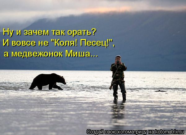 Ну и зачем так орать? И вовсе не "Коля! Песец!", а медвежонок Миша...... Котоматрица: Ну и зачем так орать? И вовсе не "Коля! Песец!", а медвежонок Миша...