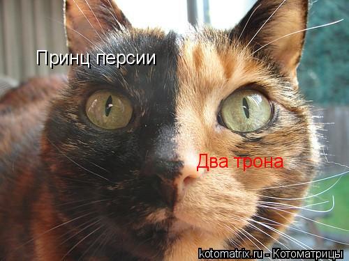 Принц персии Два трона... Котоматрица: Принц персии Два трона