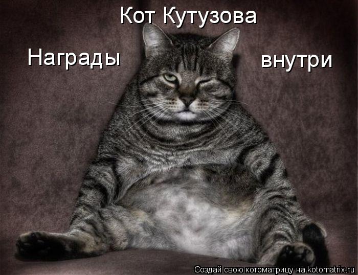 Кот Кутузова Награды внутри... Котоматрица: Кот Кутузова Награды внутри