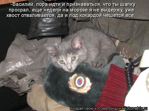 -Василий, пора идти и признаваться, что ты шапку просрал, еще недели на морозе я не выдержу, уже хв... Котоматрица: -Василий, пора идти и признаваться, что ты шапку просрал, еще недели на морозе я не выдержу, уже хвост отваливается, да и под кокардой чешетс