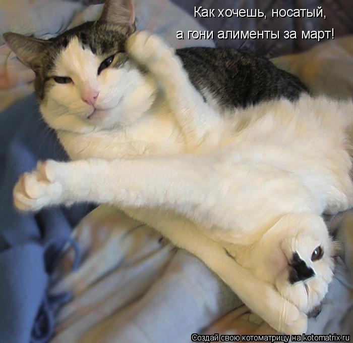 Как хочешь, носатый, а гони алименты за март!... Котоматрица: Как хочешь, носатый, а гони алименты за март!