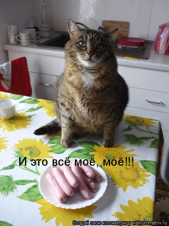 И это всё моё, моё!!!... Котоматрица: И это всё моё, моё!!!
