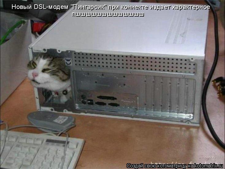 Новый DSL-модем "Пингарсик" при коннекте издает характерное пшшшшшшшшшшшшш... Котоматрица: Новый DSL-модем "Пингарсик" при коннекте издает характерное пшшшшшшшшшшшшш