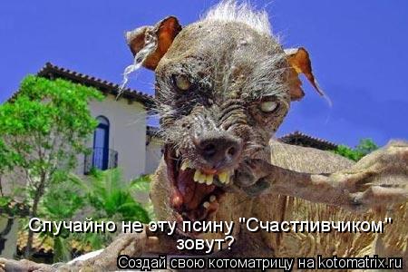 Случайно не эту псину "Счастливчиком" зовут?... Котоматрица: Случайно не эту псину "Счастливчиком" зовут?