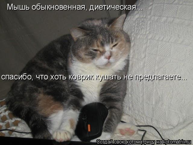 Мышь обыкновенная, диетическая... спасибо, что хоть коврик кушать не предлагаете...... Котоматрица: Мышь обыкновенная, диетическая... спасибо, что хоть коврик кушать не предлагаете...
