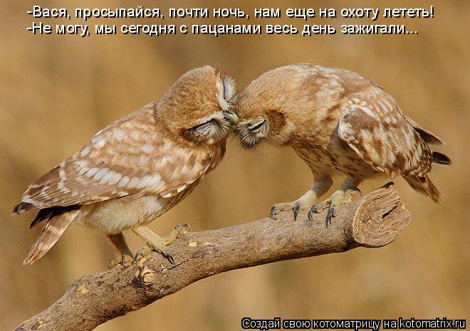 -Вася, просыпайся, почти ночь, нам еще на охоту лететь! -Не могу, мы сегодня с пацанами весь день заж... Котоматрица: -Вася, просыпайся, почти ночь, нам еще на охоту лететь! -Не могу, мы сегодня с пацанами весь день зажигали...