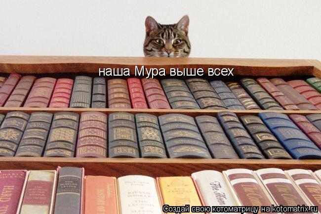 наша Мура выше всех... Котоматрица: наша Мура выше всех