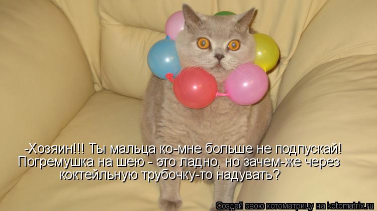 -Хозяин!!! Ты мальца ко-мне больше не подпускай! Погремушка на шею - это ладно, но зачем-же через к... Котоматрица: -Хозяин!!! Ты мальца ко-мне больше не подпускай! Погремушка на шею - это ладно, но зачем-же через коктейльную трубочку-то надувать?