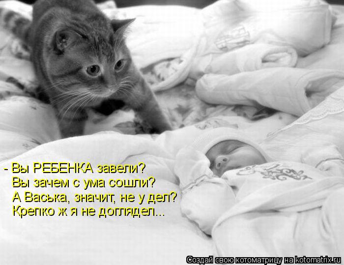 Котоматрица: - Вы РЕБЕНКА завели?  Вы зачем с ума сошли? А Васька, значит, не у дел? Крепко ж я не доглядел...